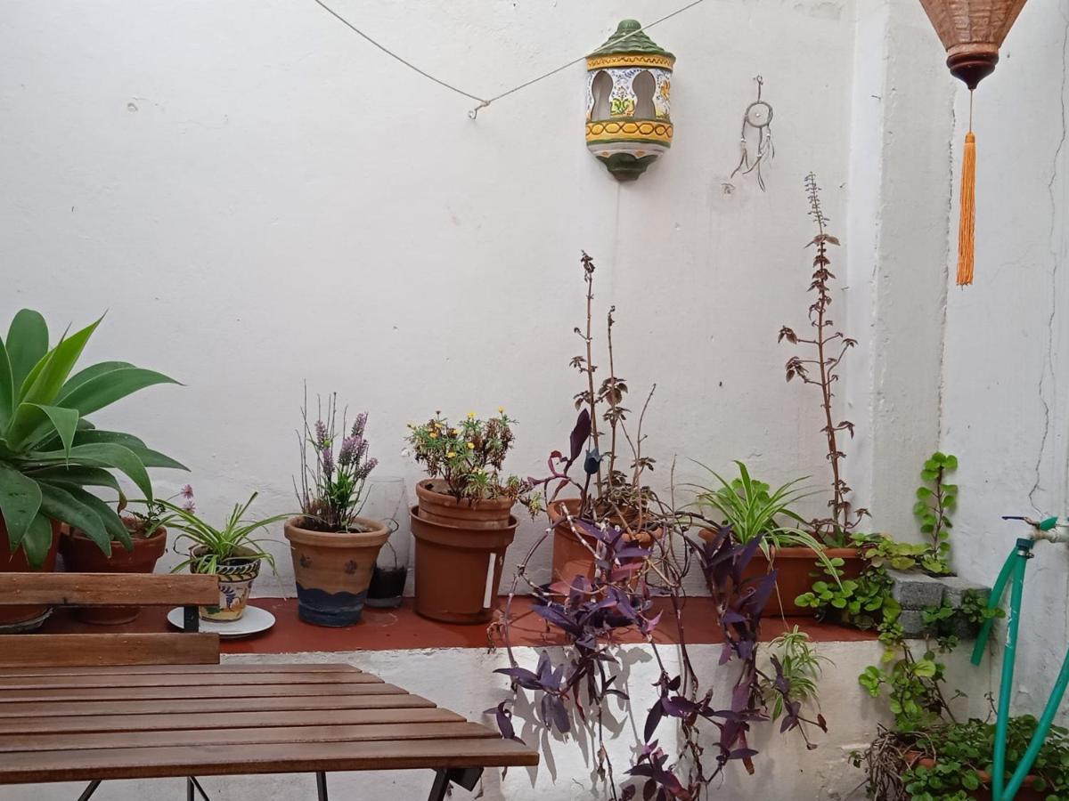 Selva La Bella. En el Corazón de Triana Apartamento Sevilha Exterior foto